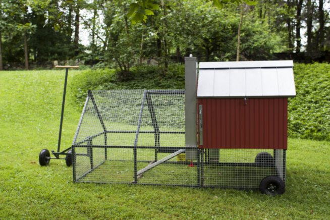 Front Yard Coop - Eco Friendly Mobile Chicken Coop